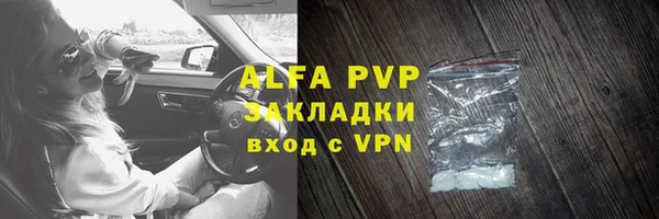 прущие грибы Волоколамск