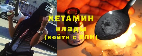 прущие грибы Волоколамск