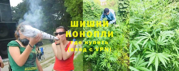 ГАЛЛЮЦИНОГЕННЫЕ ГРИБЫ Володарск