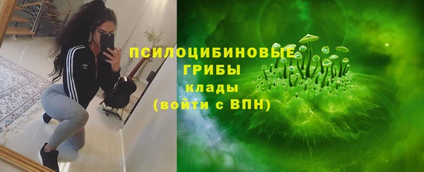 ешки Горно-Алтайск