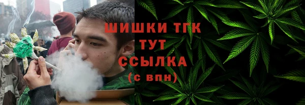 прущие грибы Волоколамск