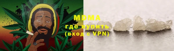 прущие грибы Волоколамск
