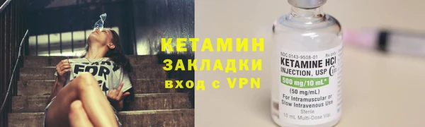 прущие грибы Волоколамск
