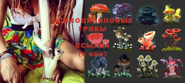 дмт Горнозаводск