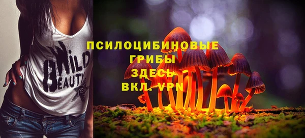 дмт Горнозаводск